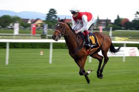 king88bet alternatif